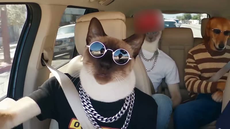 The original Carpool rap pets Walk It Like I Talk It reel by @aisiamese.ai